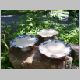 cake stands_800x600.jpg